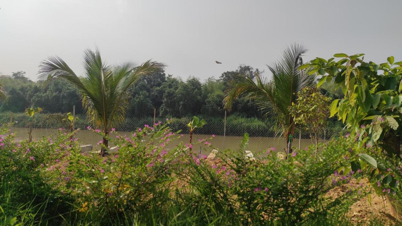 Homestay Dat Viet Cat Tien Kültér fotó
